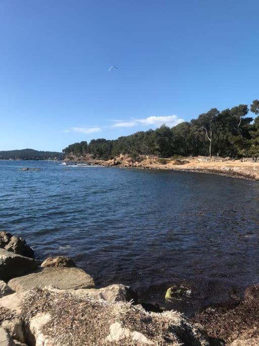 Studio L'Echappee Mandreenne Le Calme Entre Mer Et Foret Сен-Мандри-сюр-Мер Екстериор снимка