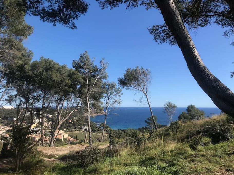Studio L'Echappee Mandreenne Le Calme Entre Mer Et Foret Сен-Мандри-сюр-Мер Екстериор снимка