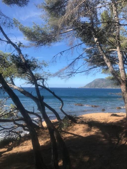 Studio L'Echappee Mandreenne Le Calme Entre Mer Et Foret Сен-Мандри-сюр-Мер Екстериор снимка